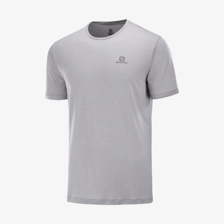 Salomon Agile Training Short Sleeve Men's T-Shirts Light Grey | CA 43F10